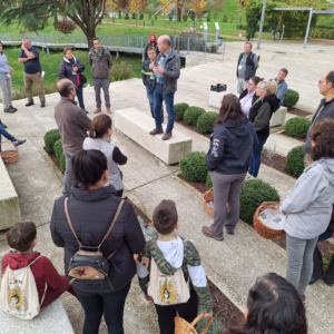 Autorización cogomelos e froitos do bosque
